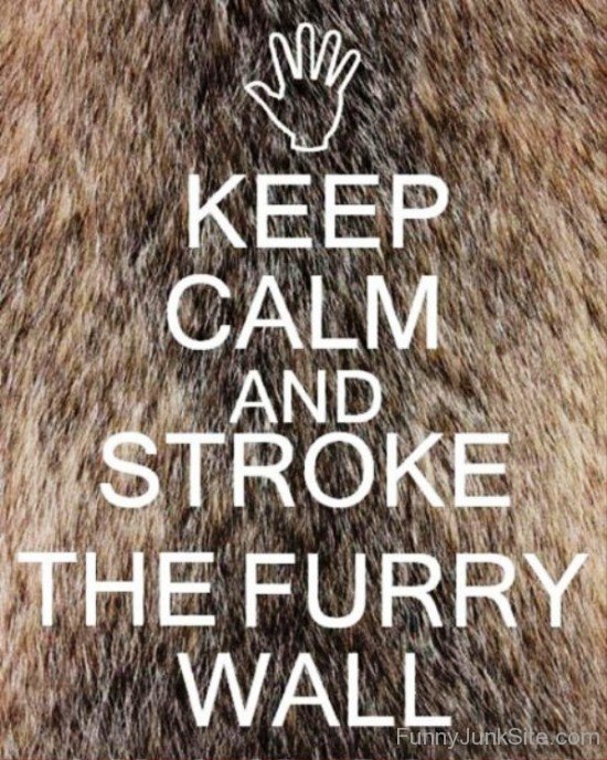 Keep Calm And Stroke The Furry Wall-bt955