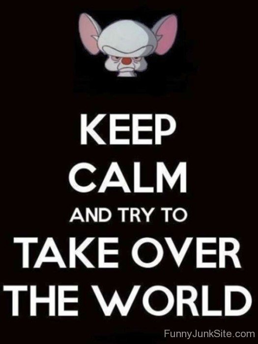 Keep Calm And Try To Take Over-bt958