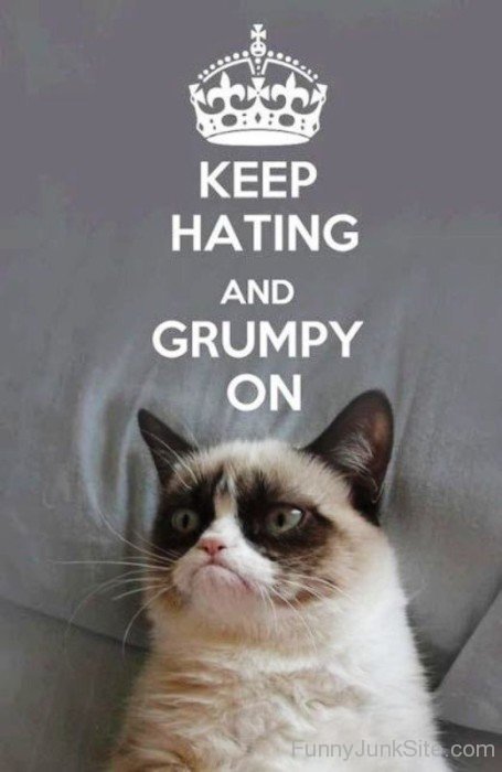 Keep Hating And Grumpy On-bt969
