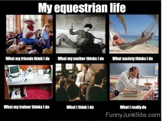 My Equestrian Life-ab821