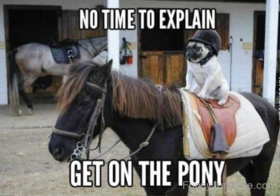 No Time To Explain Get On The Pony-ab822