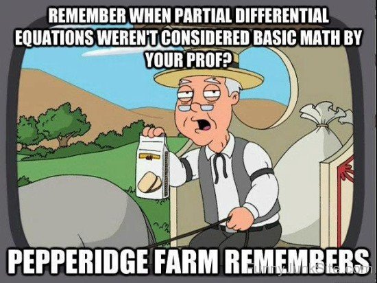 Remember When Partial Differential Equations-tn953