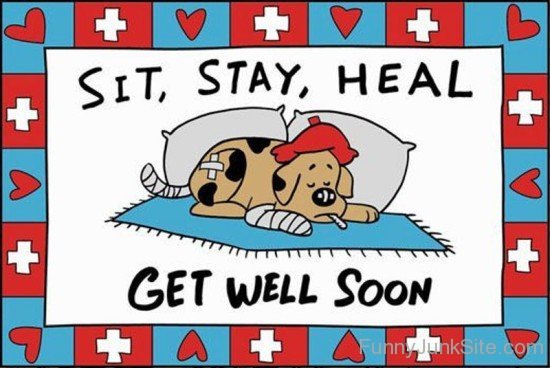 Sit,Stay,Heal Get Well Soon-ez225