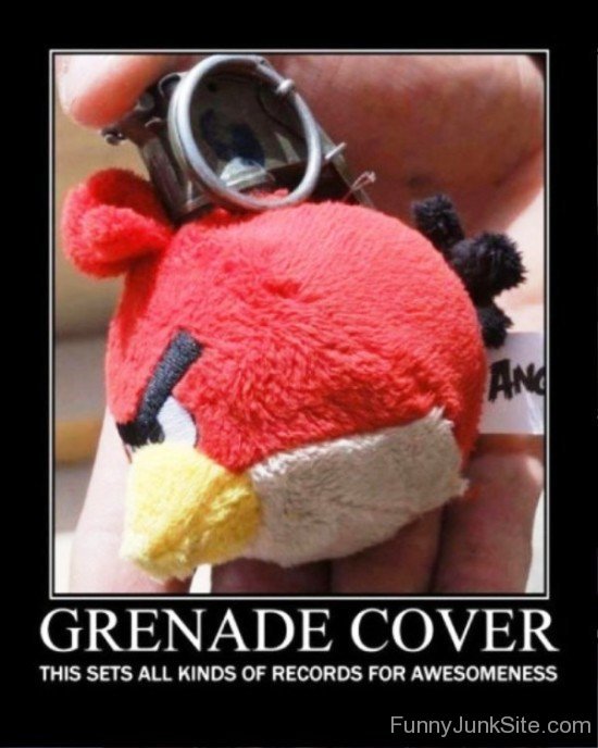 Grenade Cover