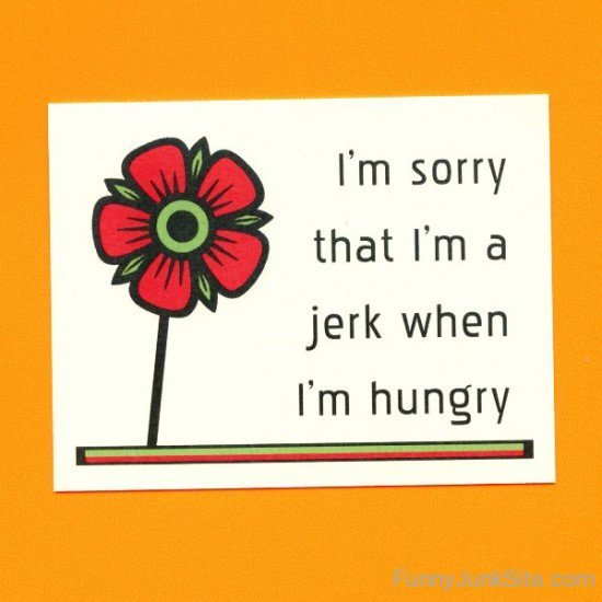 I'm Sorry That I'm A Jerk-xmi916