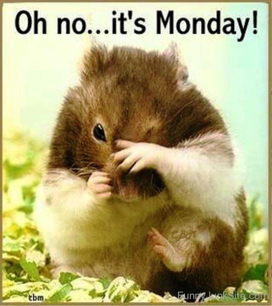 Oh No It's Monday