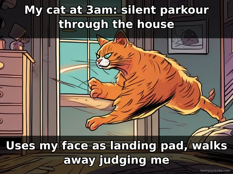 Funny cat meme about 3am zoomies and cats running wild while owners sleep