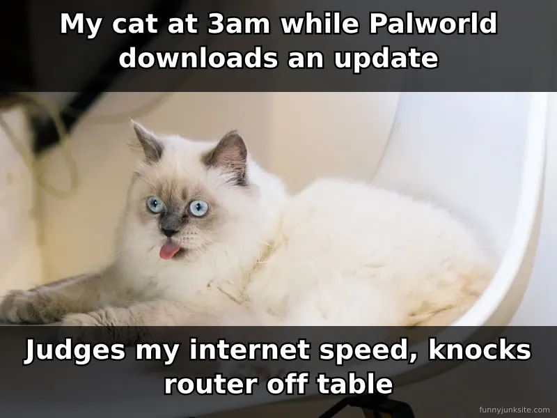 Funny cat meme about pets causing trouble during late night gaming downloads