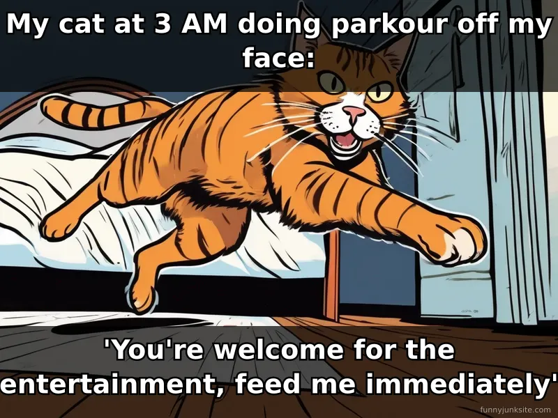 Funny cat meme: wild cat jumping at night, humorous 3am zoomies caption
