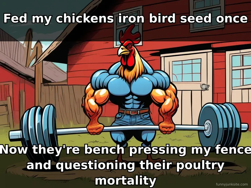 Funny meme of muscular chicken from iron bird seed trending topic, absurd cartoon.