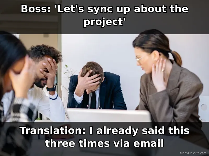 Work meme about 'per my last email' and pointless meetings, office humor