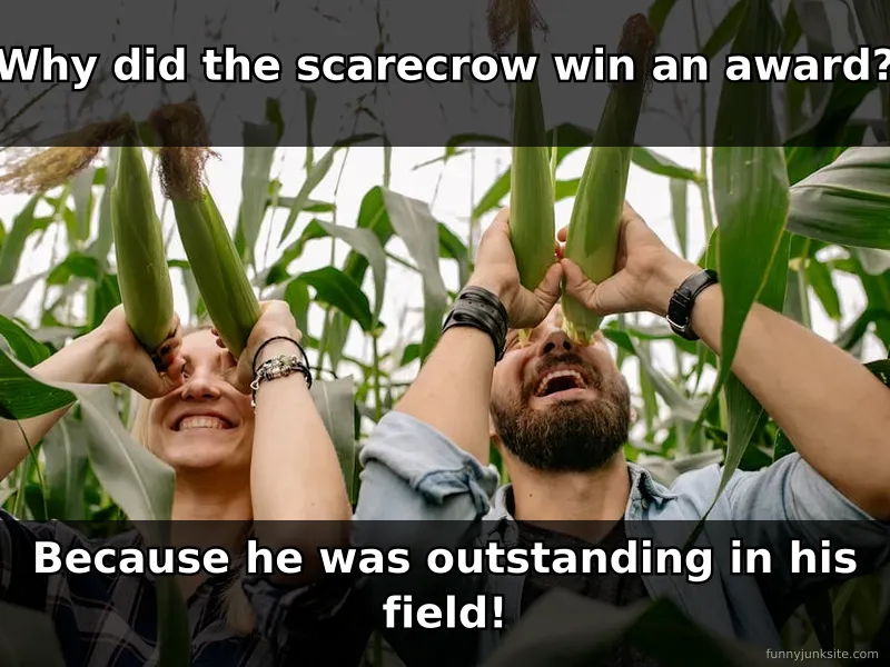 Dad joke meme with scarecrow pun, corny funny one-liner that makes you groan and smile at same time